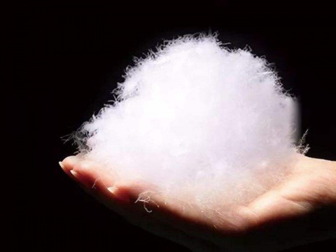 白鸭绒和白鹅绒哪个好?专业解释来了